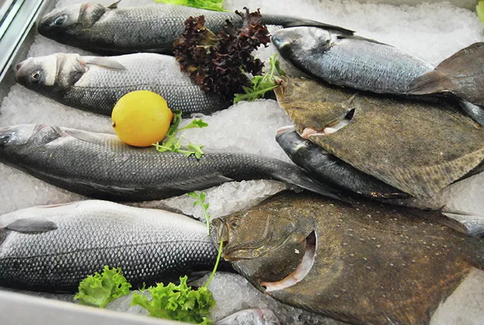 Frischer Fisch in der Vitrine des Cortile